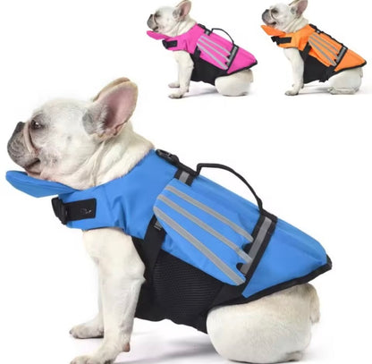 Chaleco Salvavidas para Perro🛟