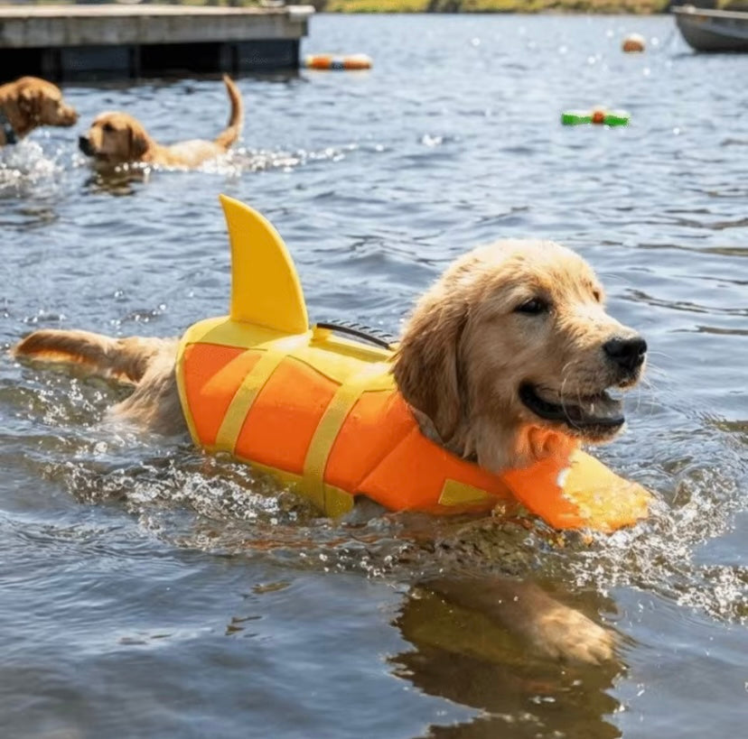 Chaleco Salvavidas para Perro🛟