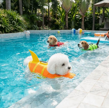 Chaleco Salvavidas para Perro🛟