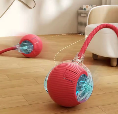 Pelota inteligente para Mascotas 🎾