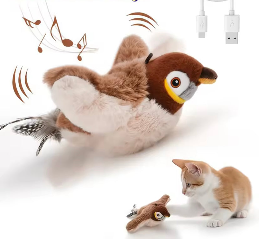 Pájaro para Gatos 🦅