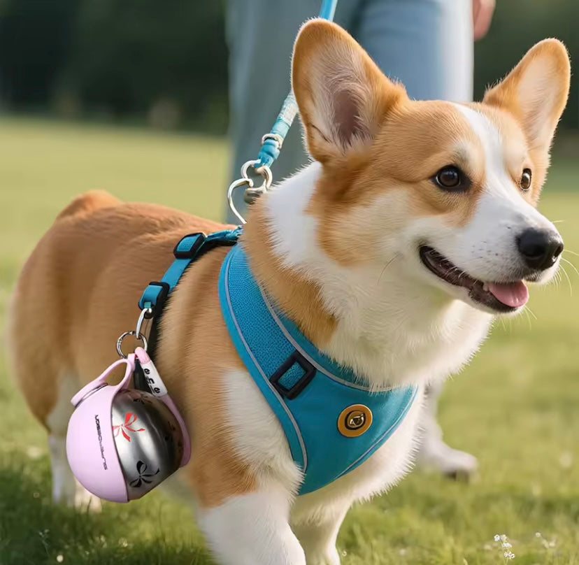 Cantimplora para perro 🐕