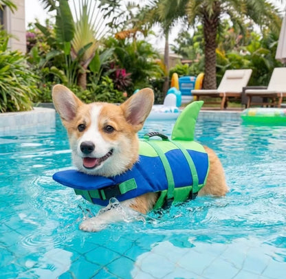 Chaleco Salvavidas para Perro🛟