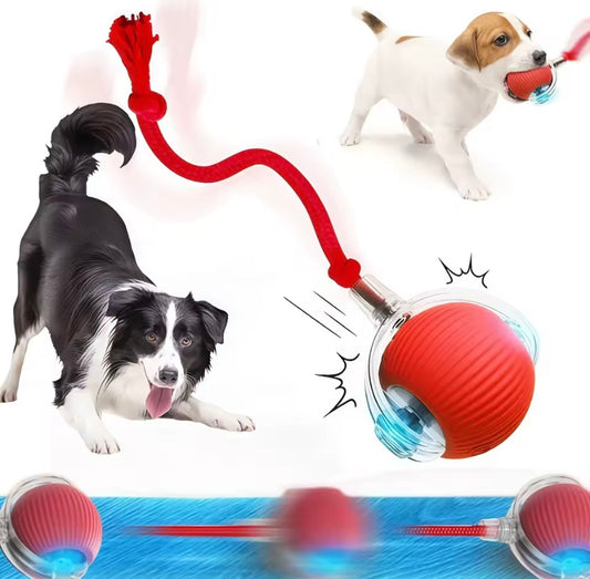 Pelota inteligente para Mascotas 🎾